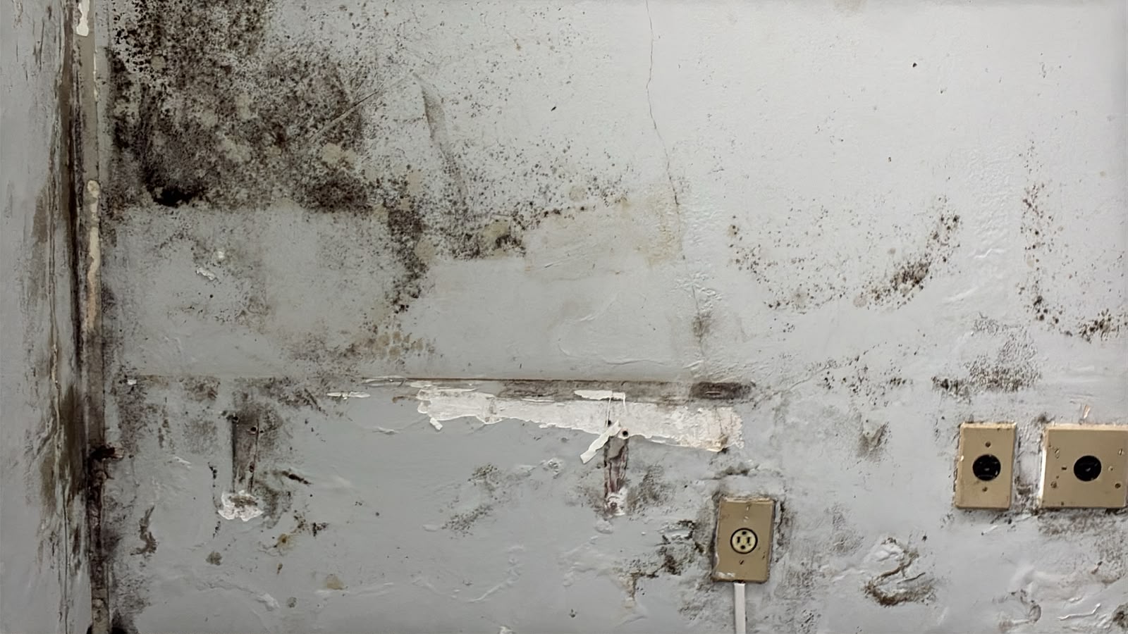 Parede com mofo e descascamento próximos a instalações elétricas