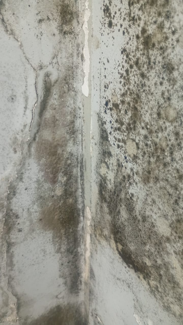 Canto de parede com mofo intenso e sinais de umidade